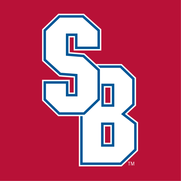 Stony Brook Seawolves 2008-Pres Alternate Logo t shirts iron on transfers v3